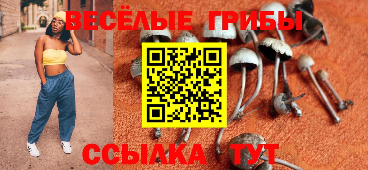 Прокопьевск  Псилоцибиновые грибы GOLDEN TEACHER  магазин продажи наркотиков  Вход с VPN 