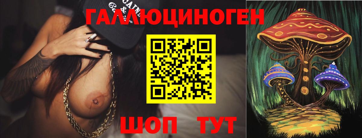 Прокопьевск  ТГК  Вход с VPN  ГАШ  Меф МЯУ МЯУ   Конопля  APVP СК кристаллы 